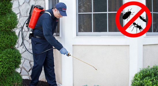Zeytinburnu Böcek İlaçlama böcek ilaçlama ve haşere kontrolü — ilaclama-tr.com